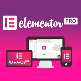 Elementor PRO